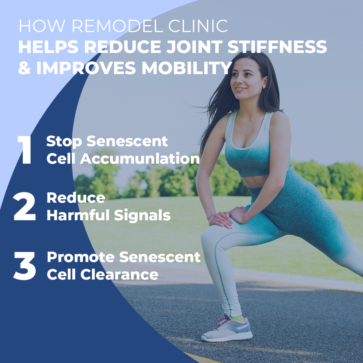 REMODEL CLINIC - Connective Tissue Remodeling Support