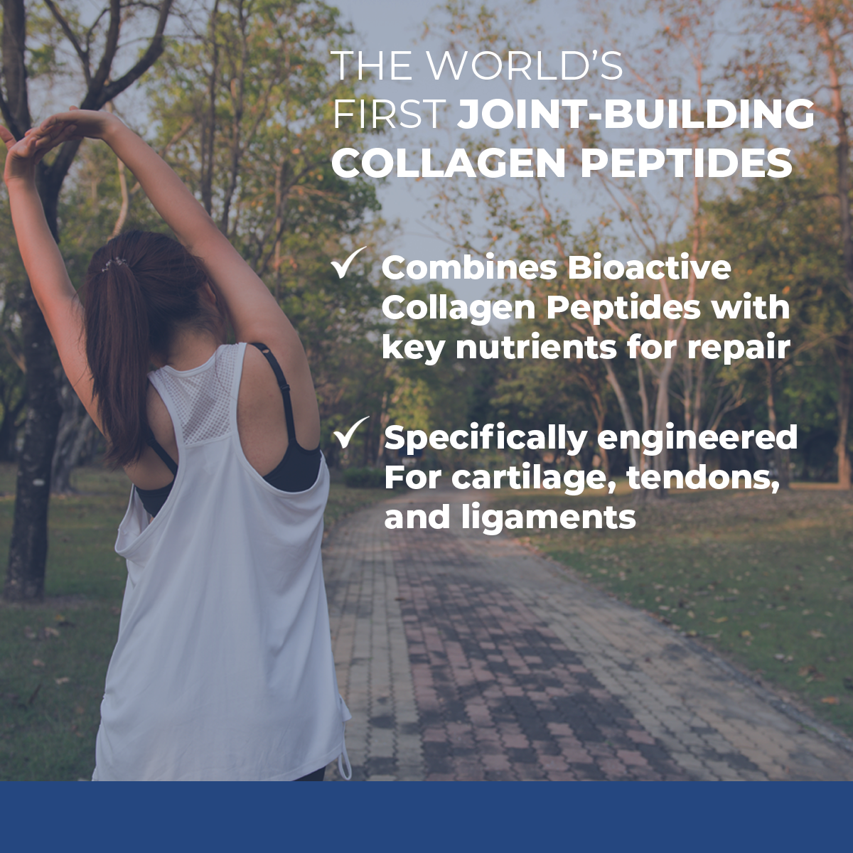 COLLAGEN SYNTHESIS - Collagen Peptides for Tendon, Ligament, & Cartilage Support